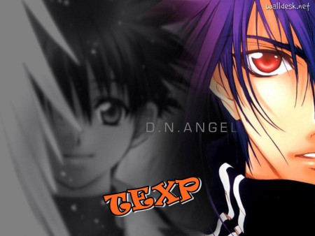 D.N.ANGEL